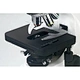 LED Fluorescence Trinocular Microscope